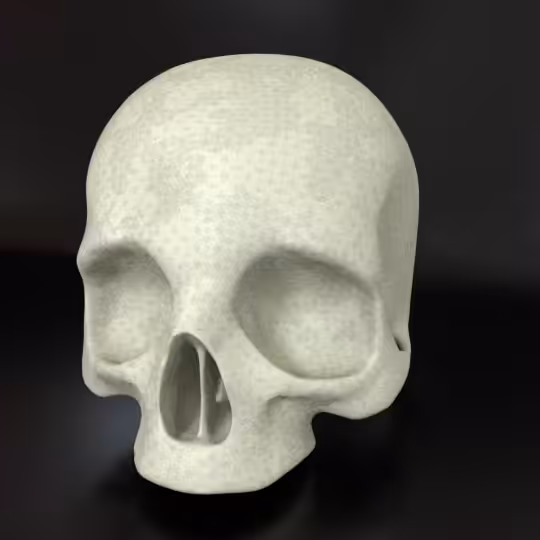 SkullZ #2.47