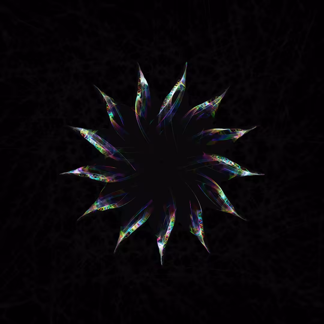 Wholespectre Starflower