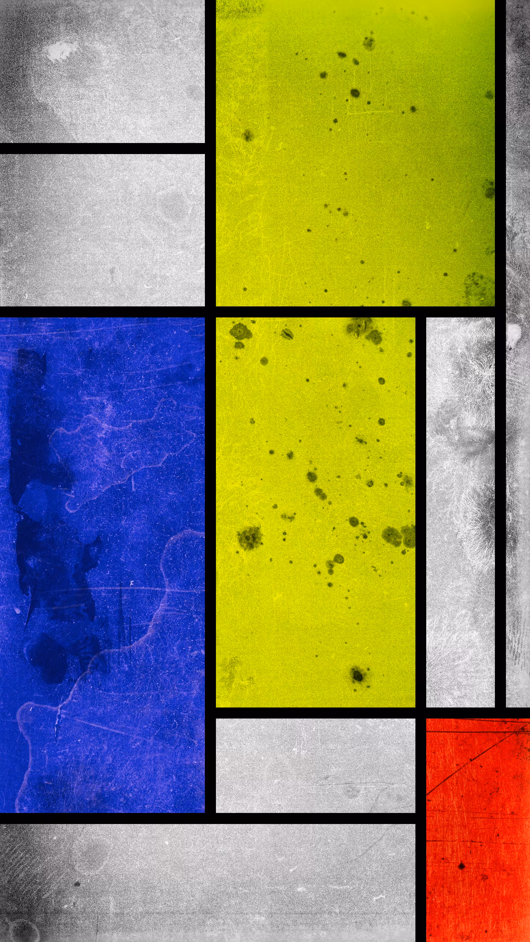 Mondrian #008