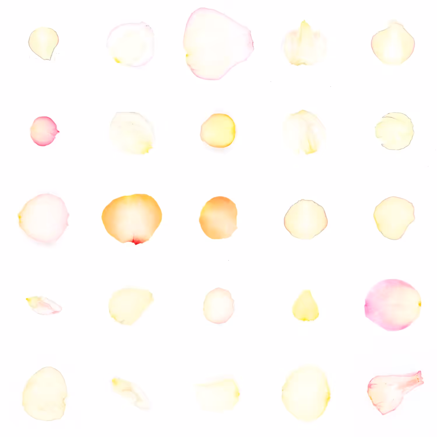 Infinite Petals 5x5#20854