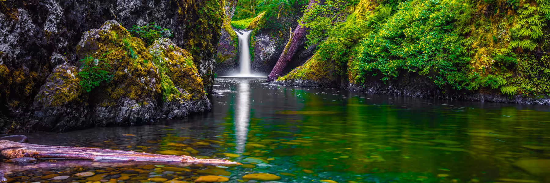 Transcendance