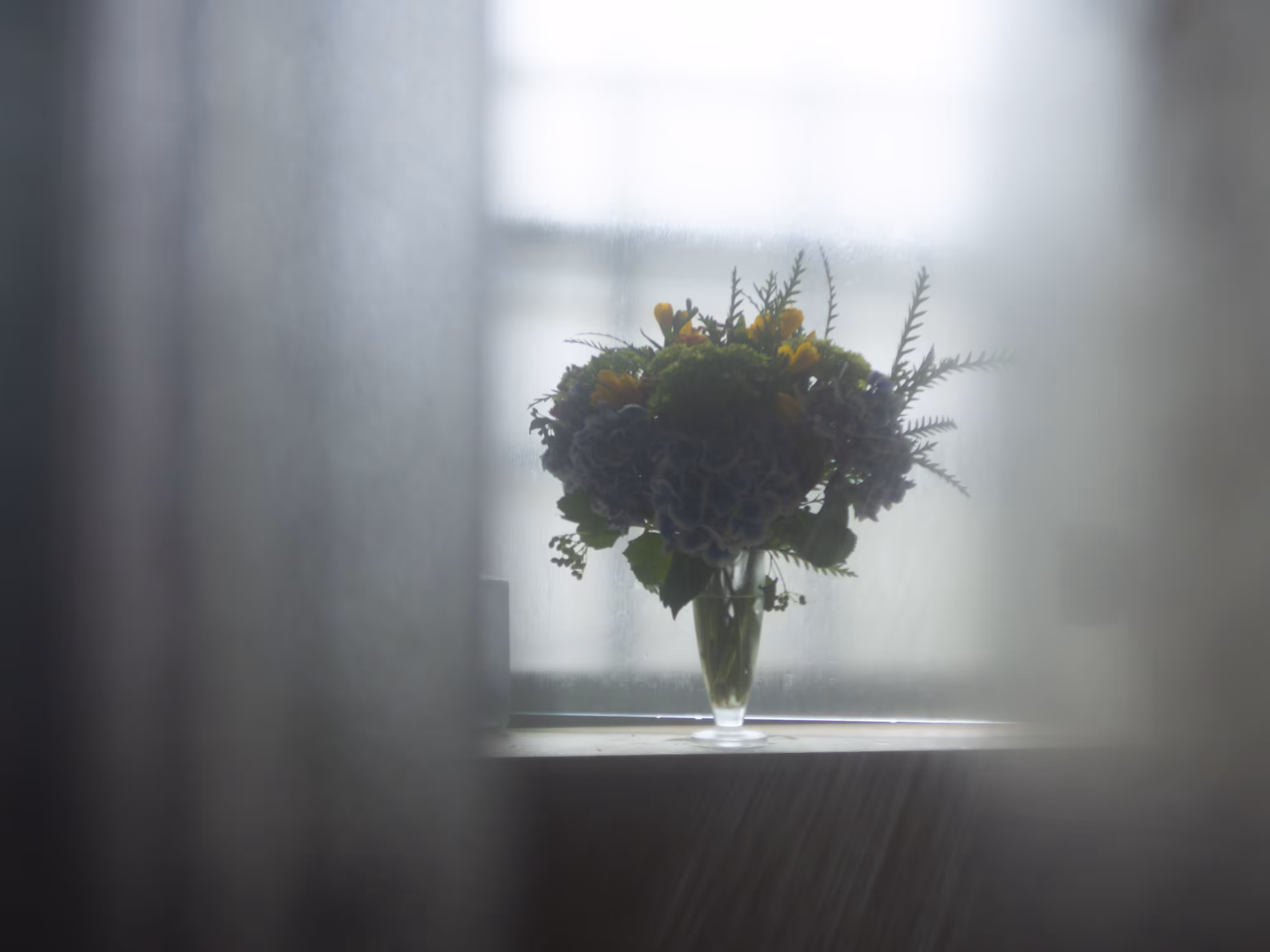 Through the Glass Doors