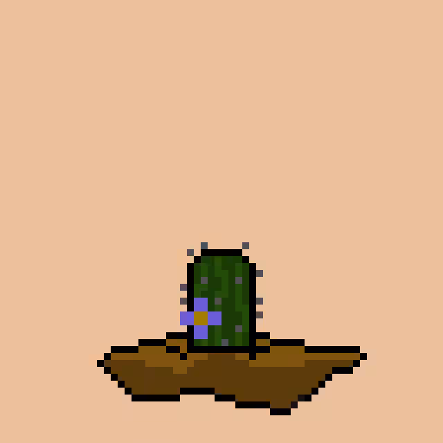 Regular Cactus #478