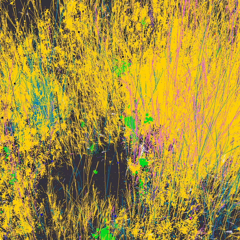 Infinite Garden: 33885 Flowers