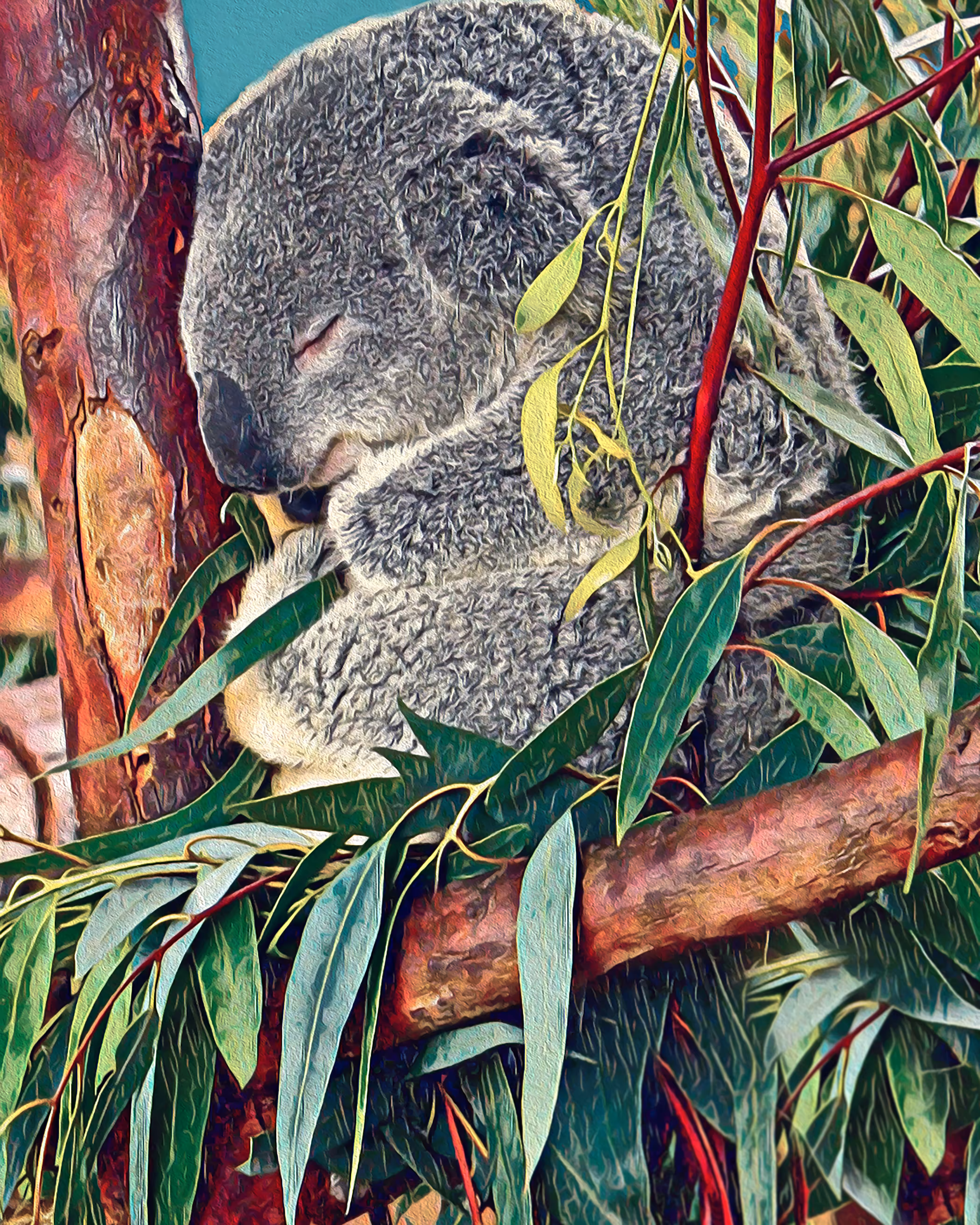 Cuddly Koala Bear