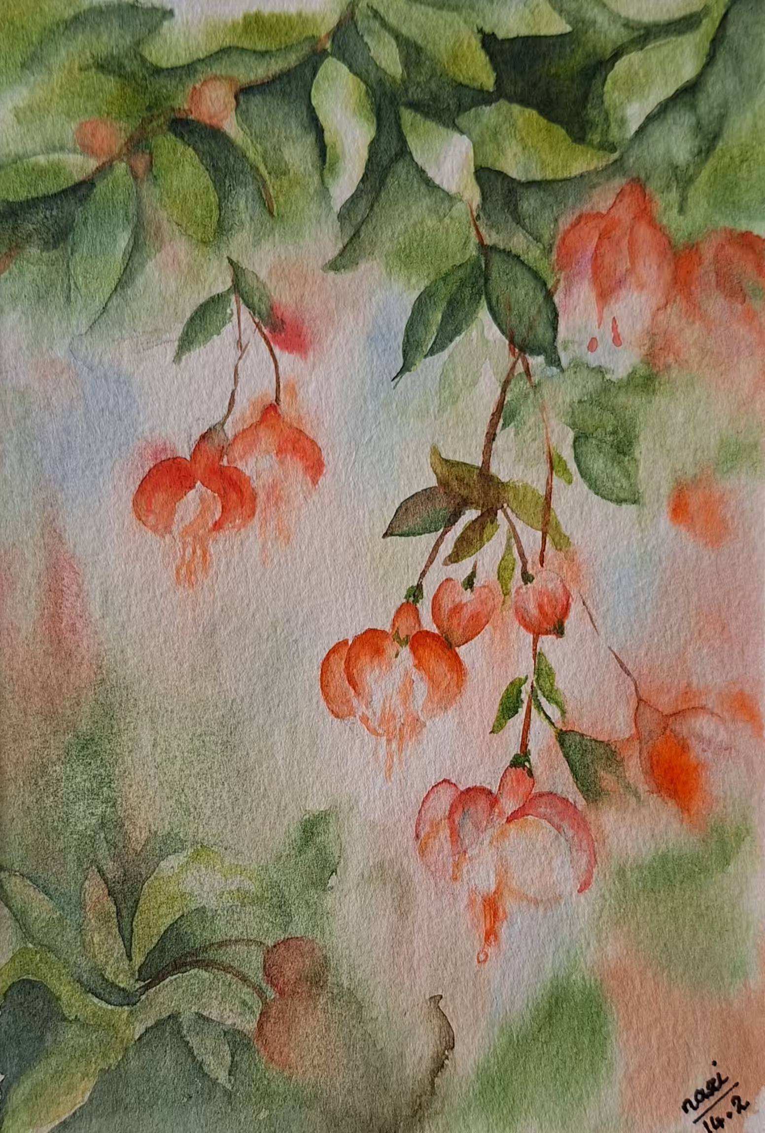 Blossoms