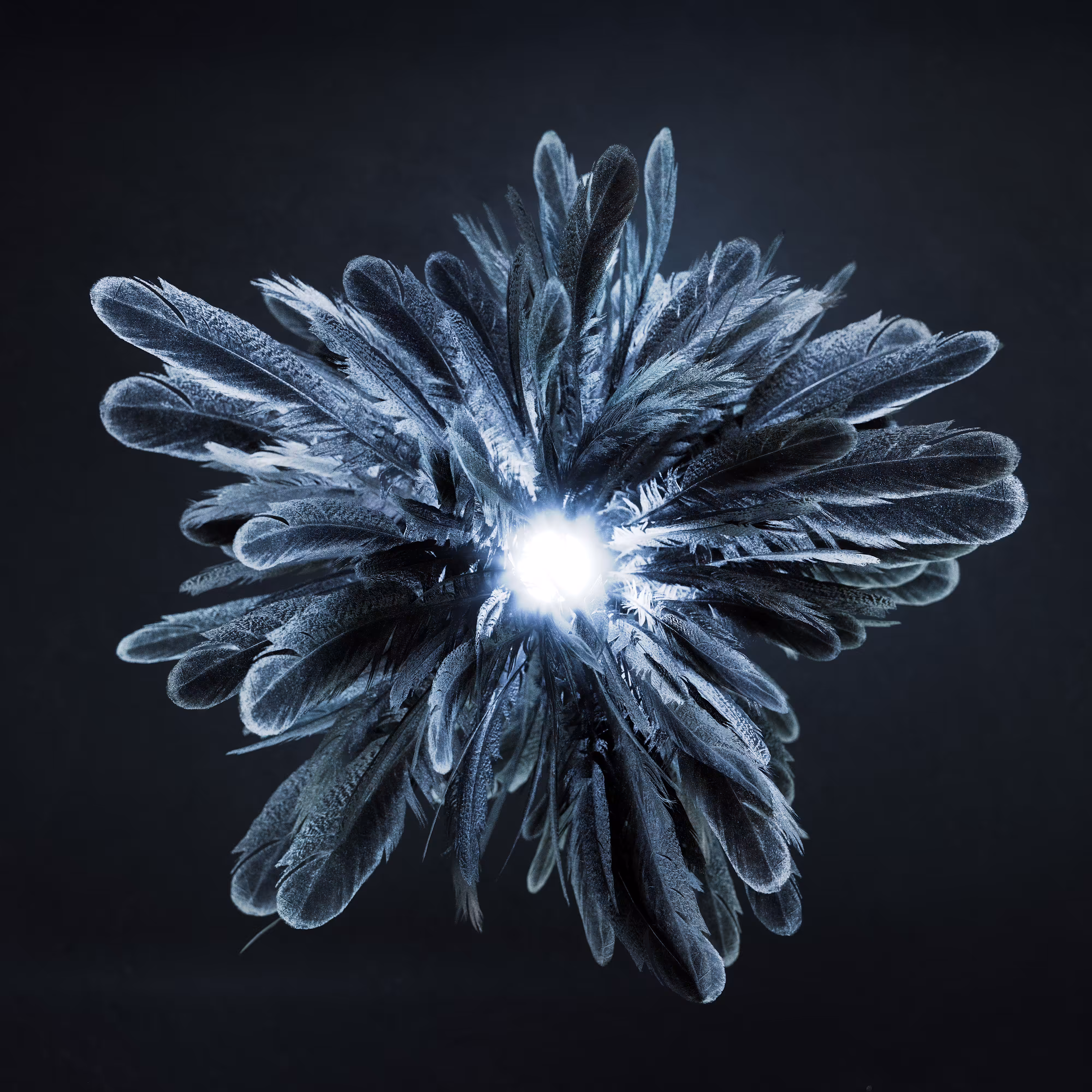 Sphz#01 - Plumes