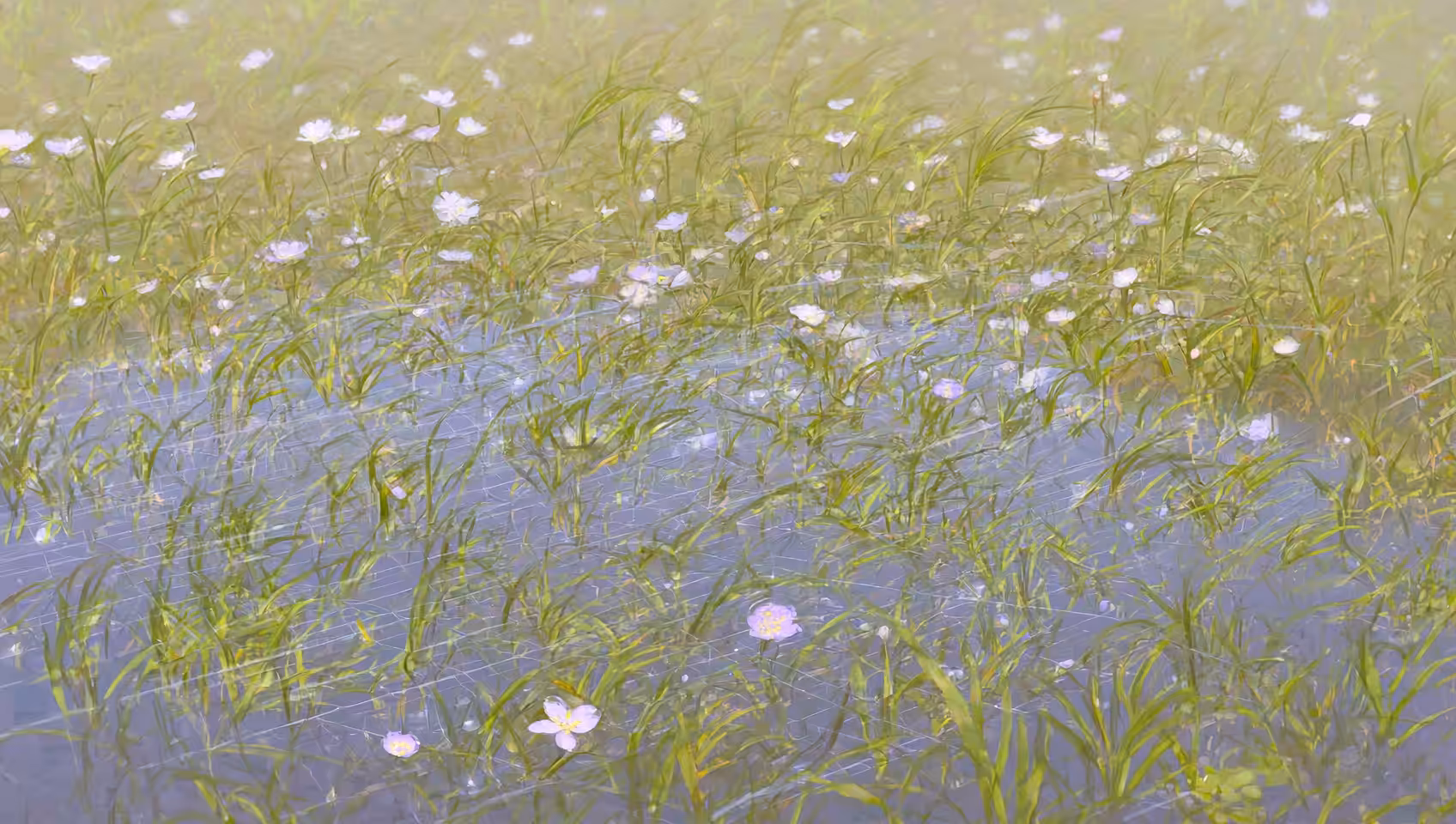 Impressionism Spring: Spring impressionism (7)