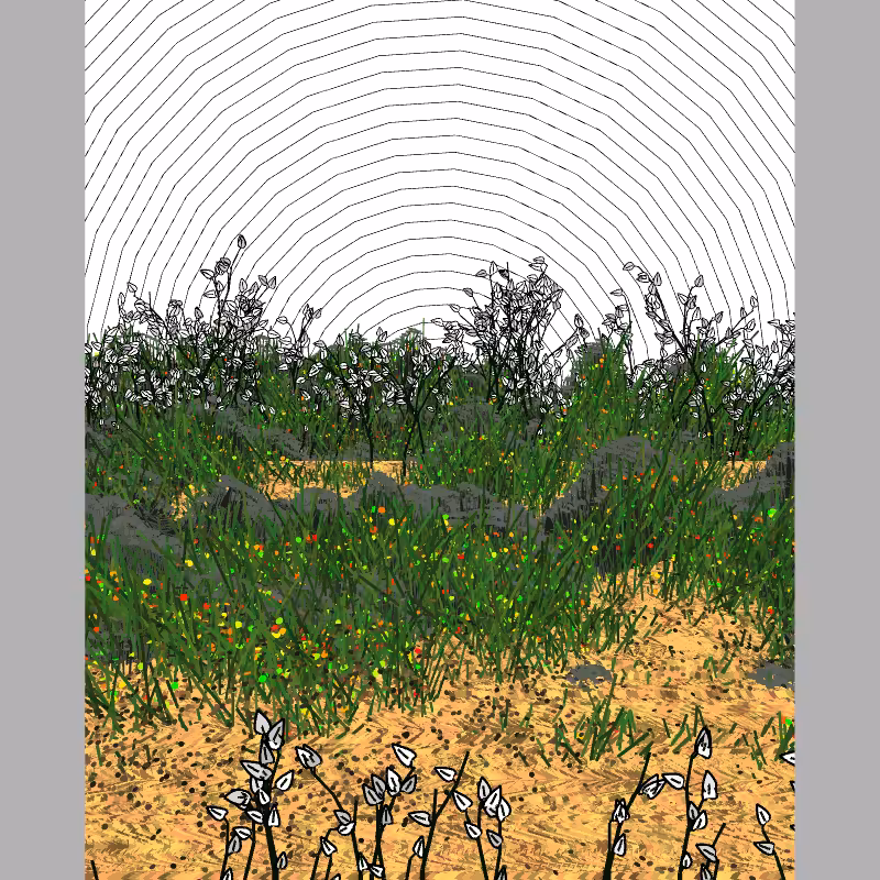 Contours #86