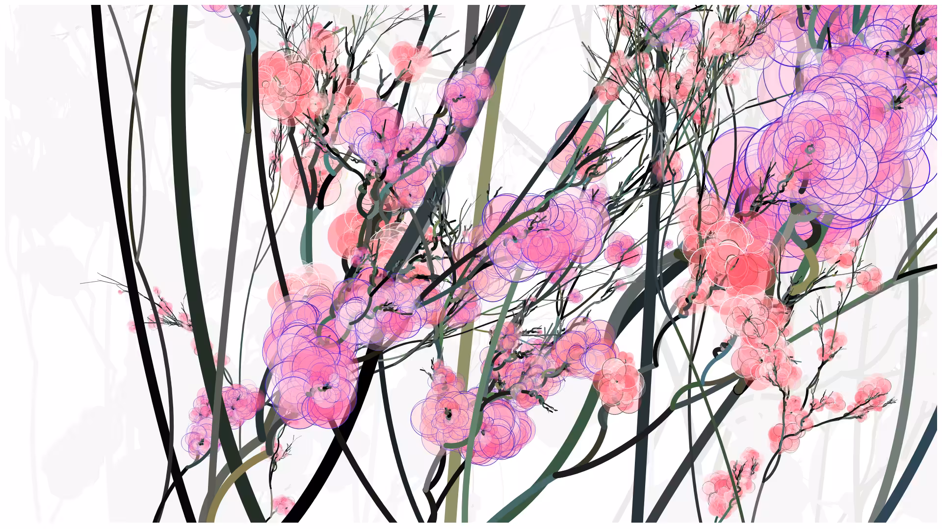 CODE-BLOSSOM #41