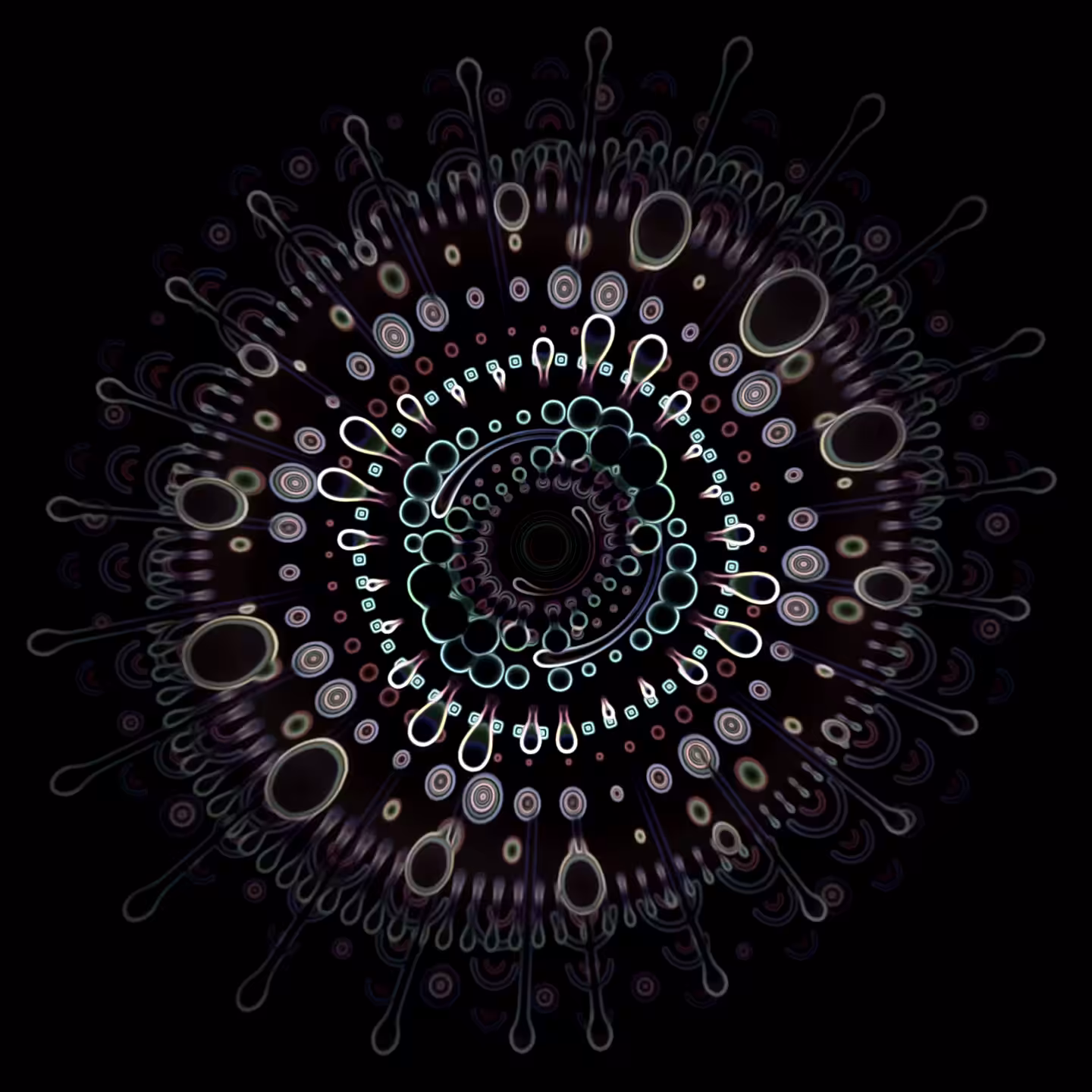 Bloom Portal