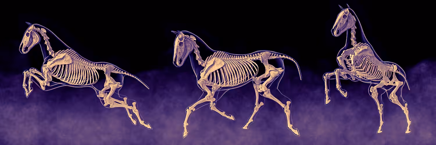 Social Media Banner 81