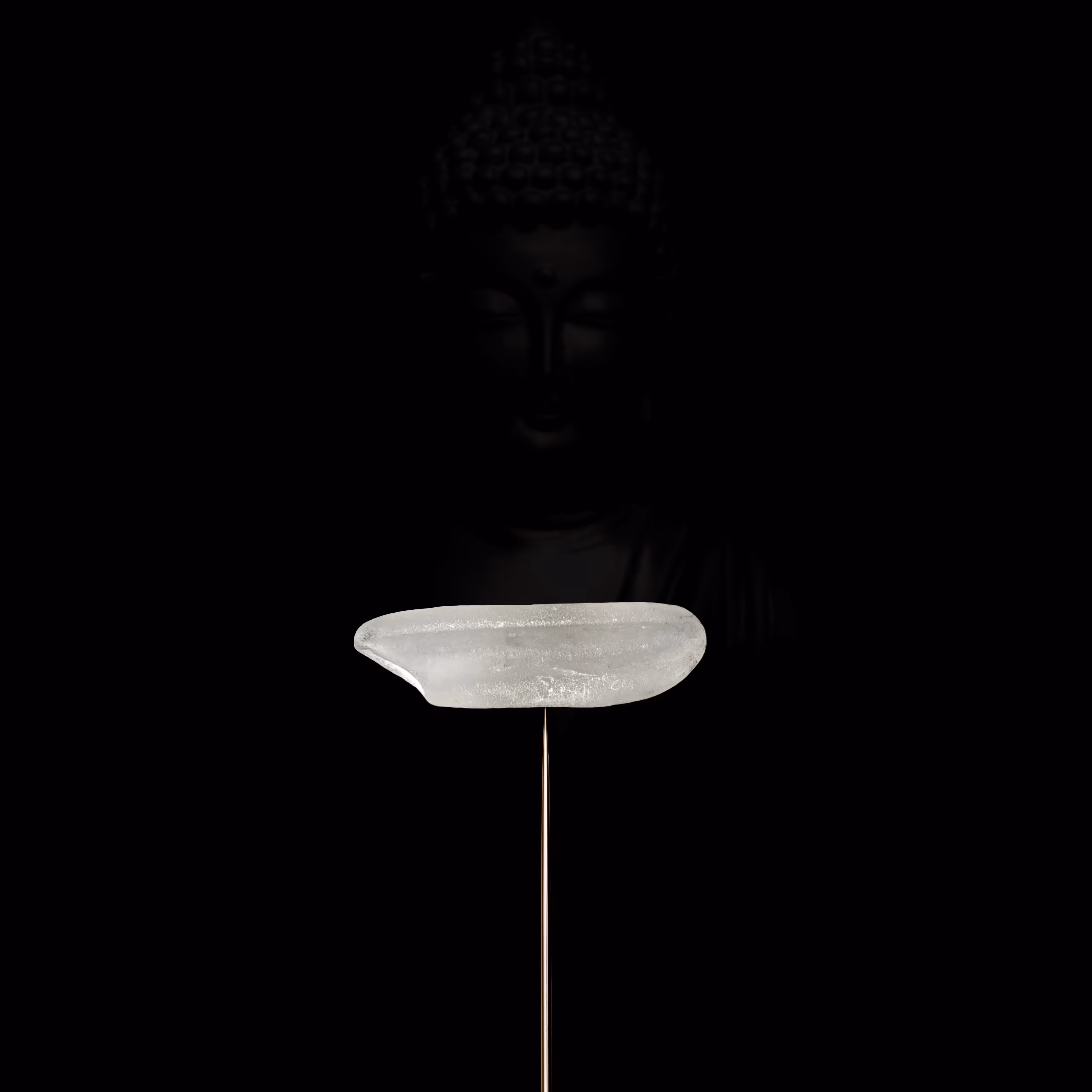 Piece Rice of Buddha