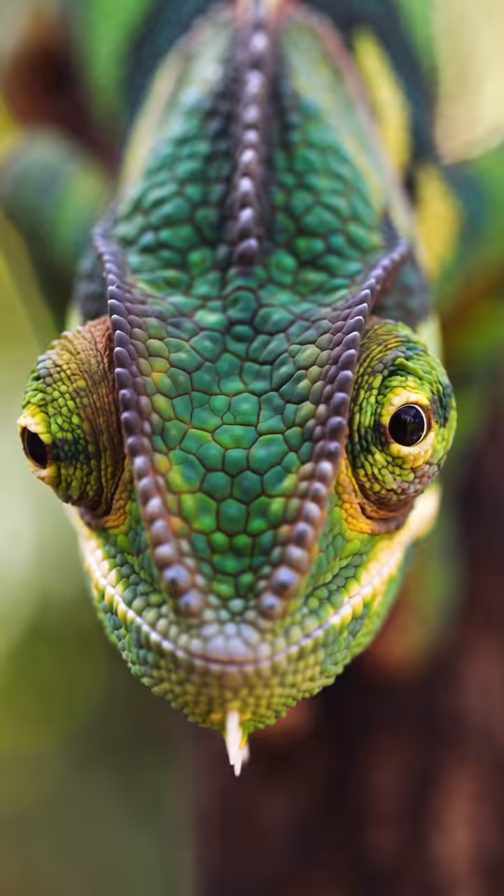 Inspiration Nature: Inspiration #44