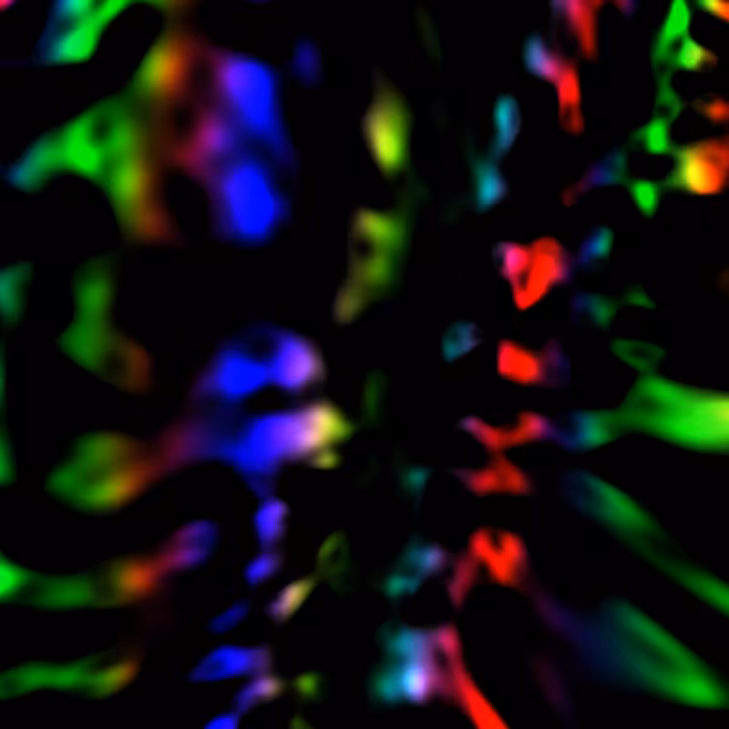 Quantum #9