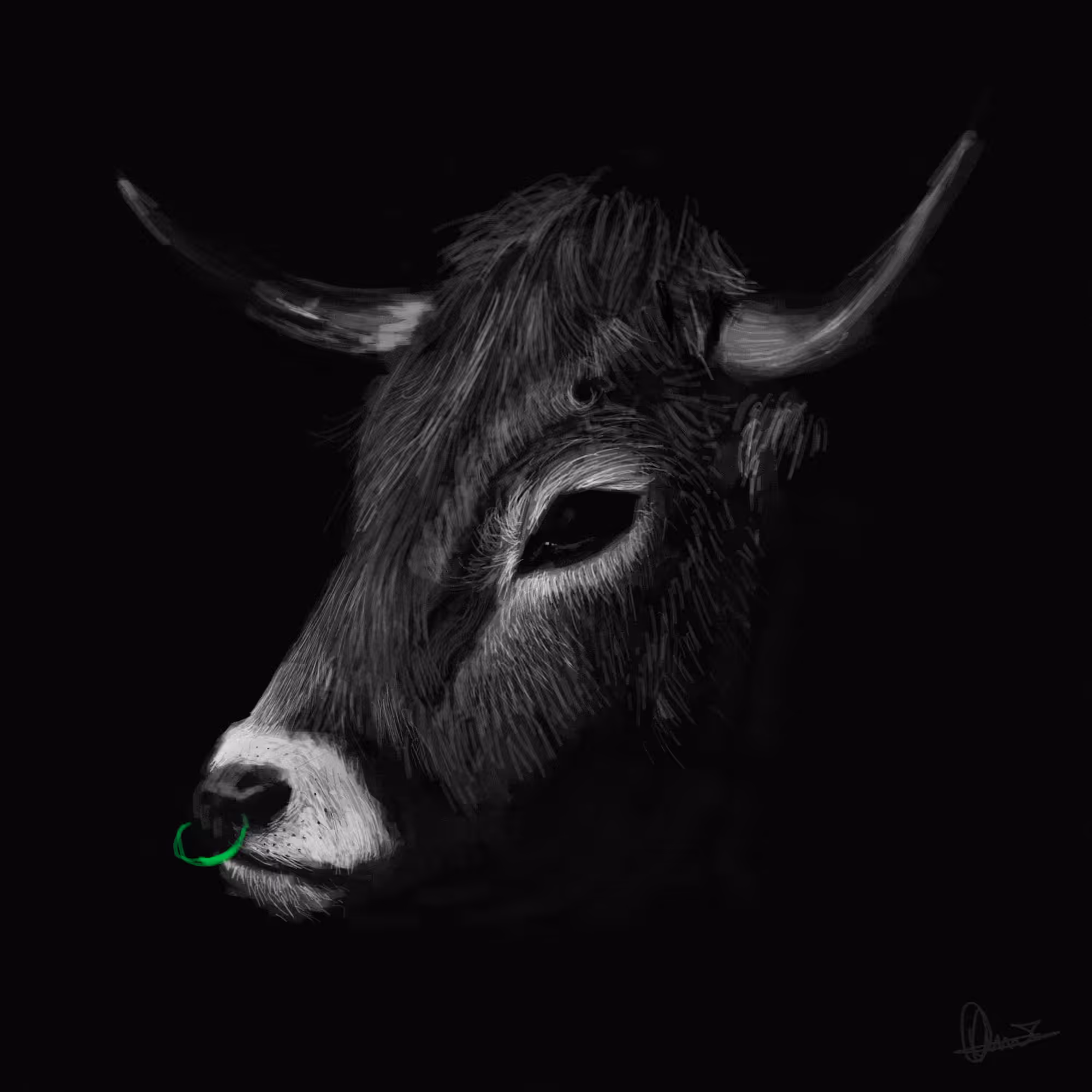 THE BULL
