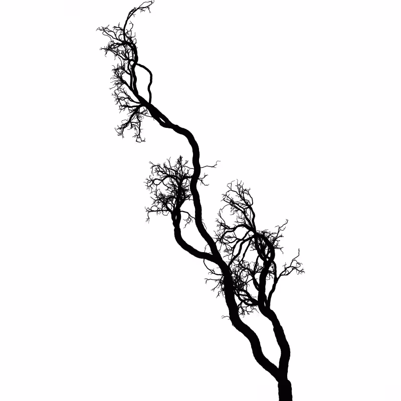 Tree 01 #80