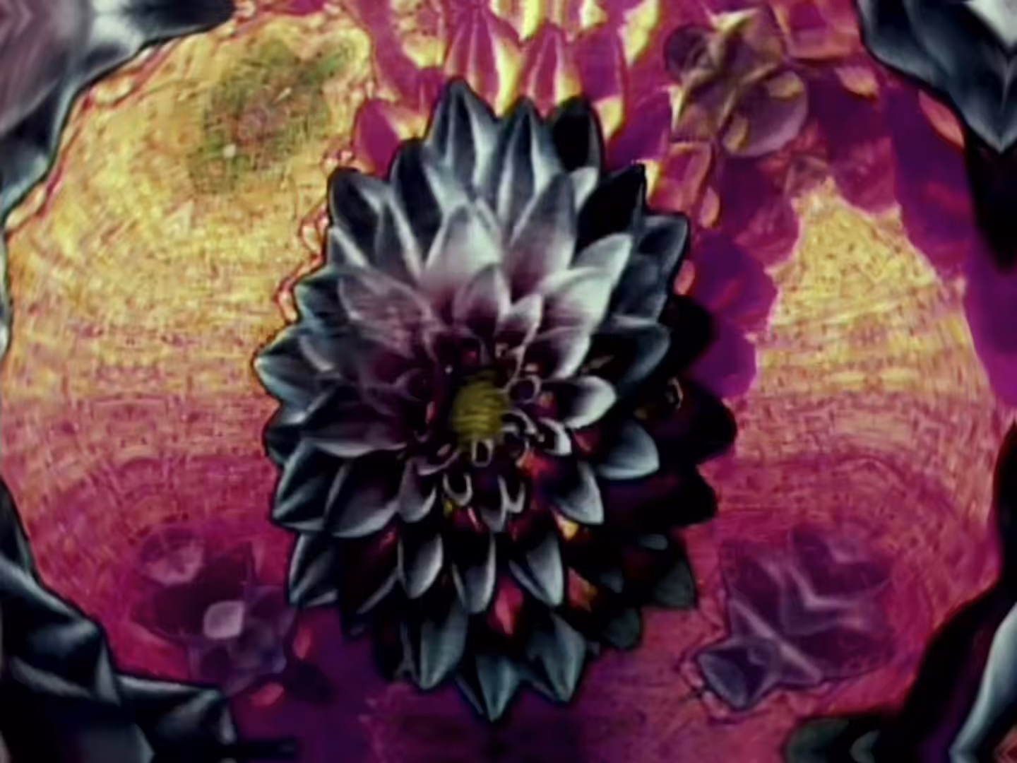 _FLORAPHAZE_II_