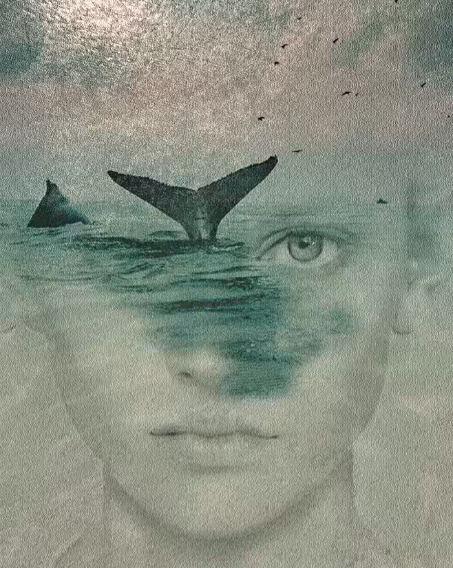 / OCEAN /