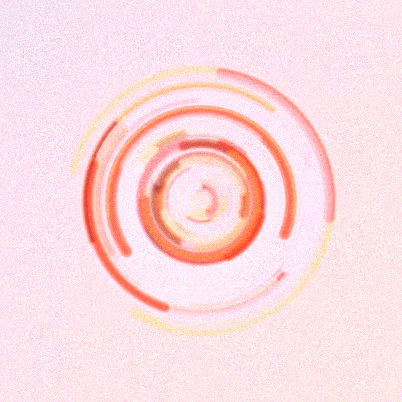Wisp #537