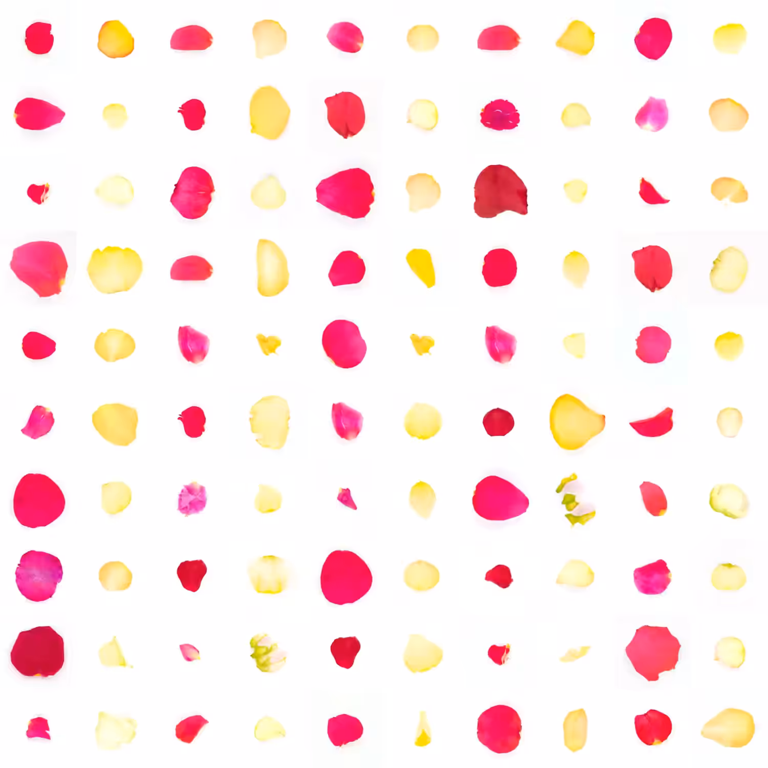 Infinite Petals 10x10#1773