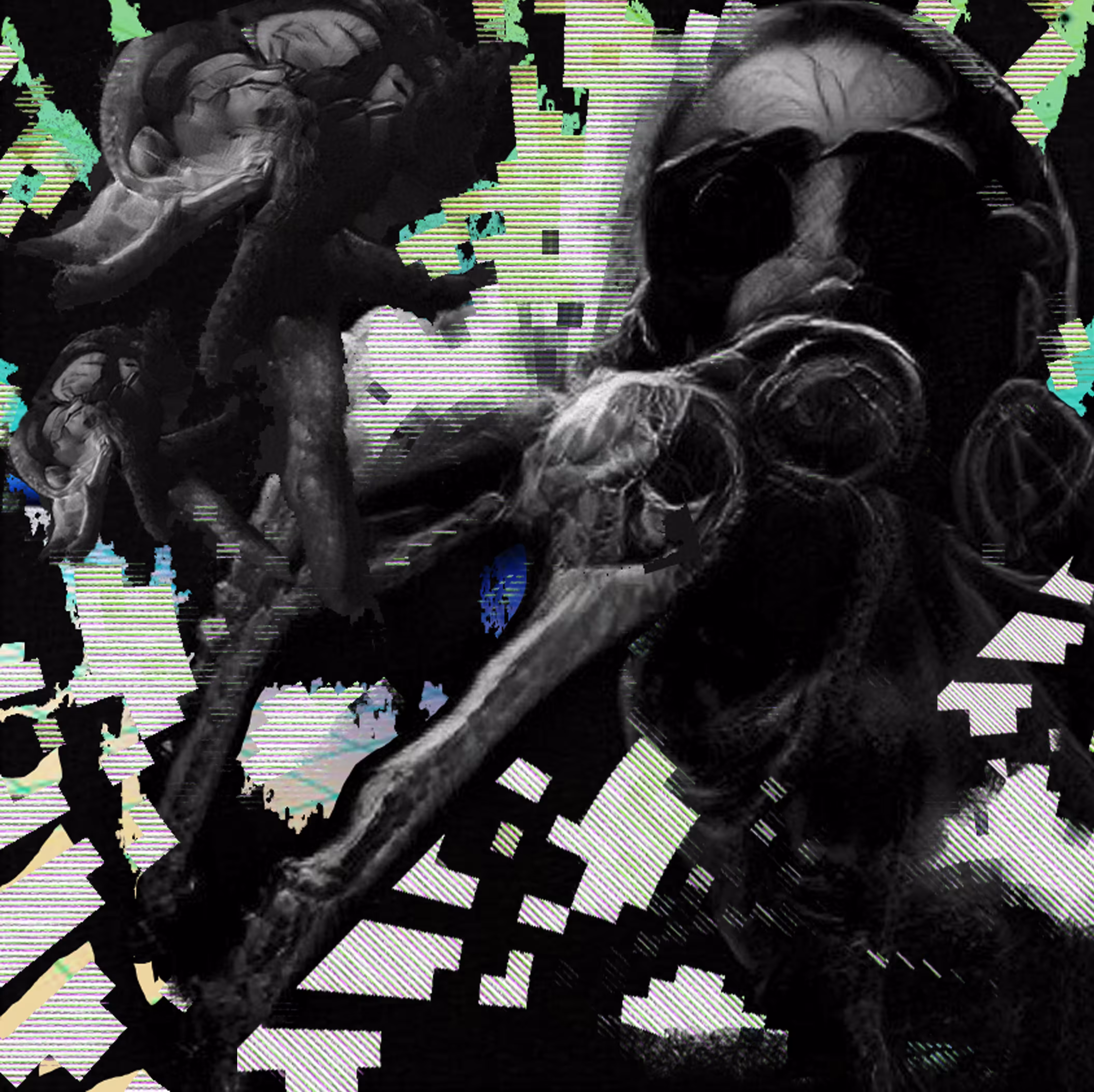  Next Dimension