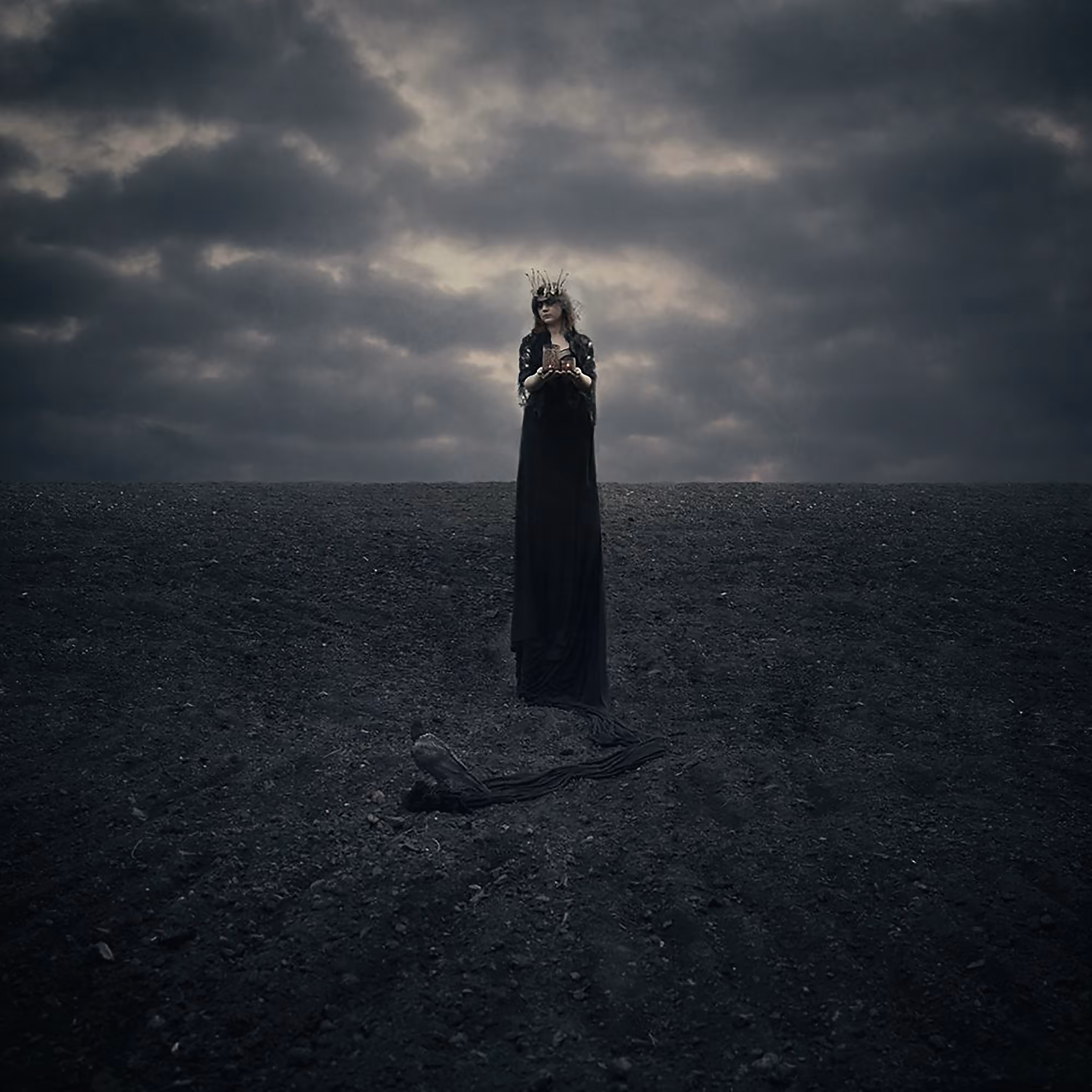 The Raven
