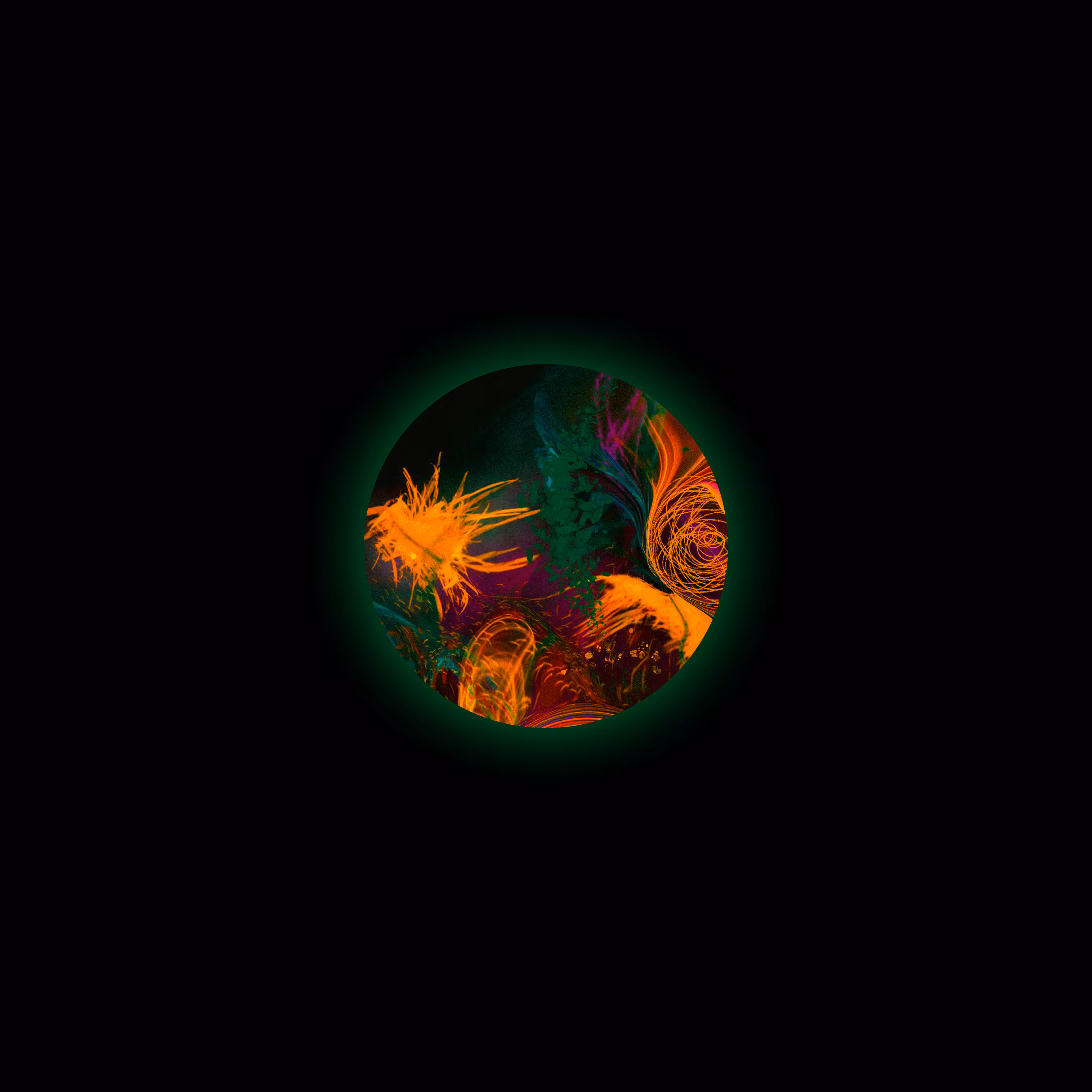 S001_0003
