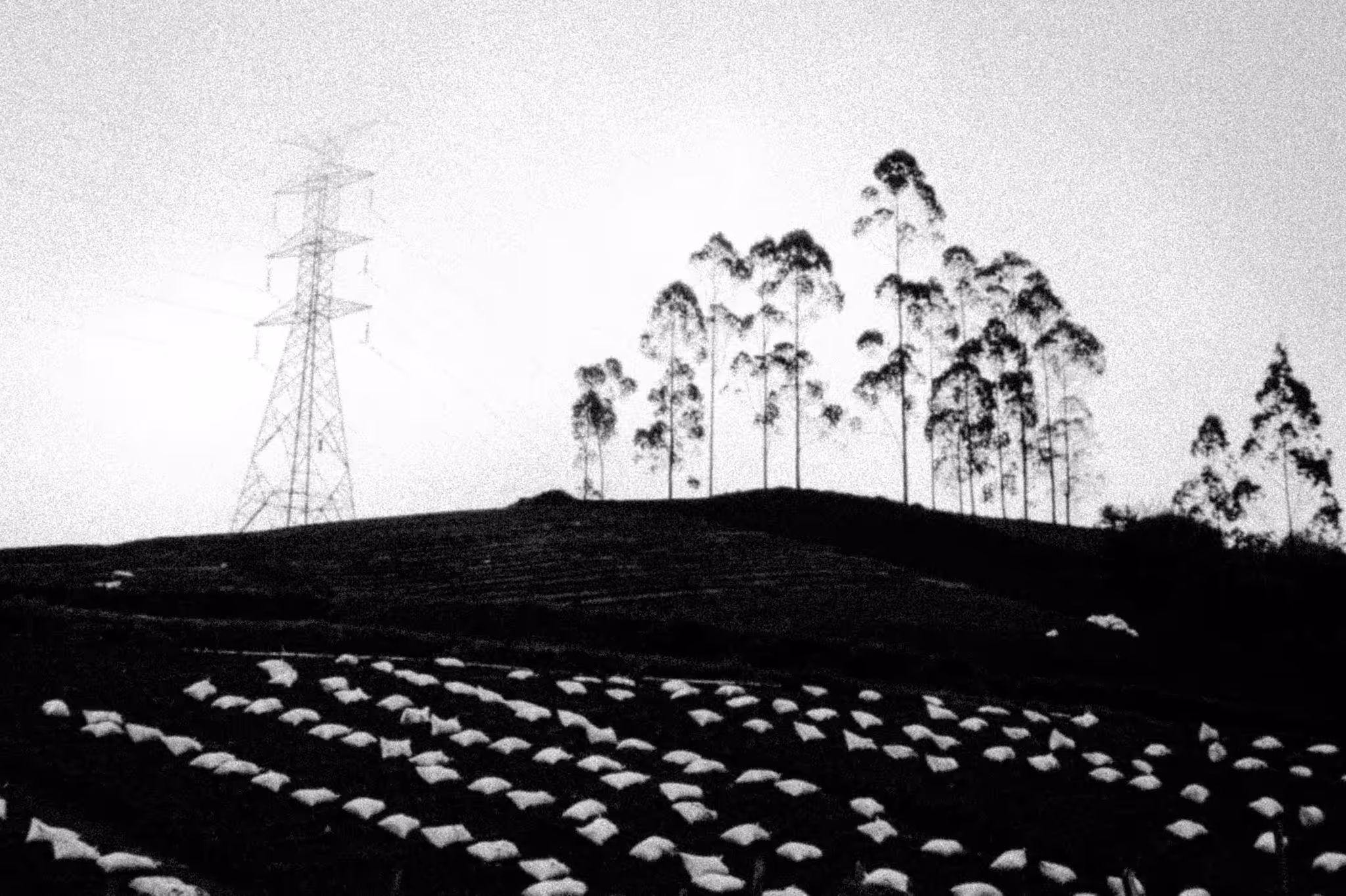 silent atmosphere