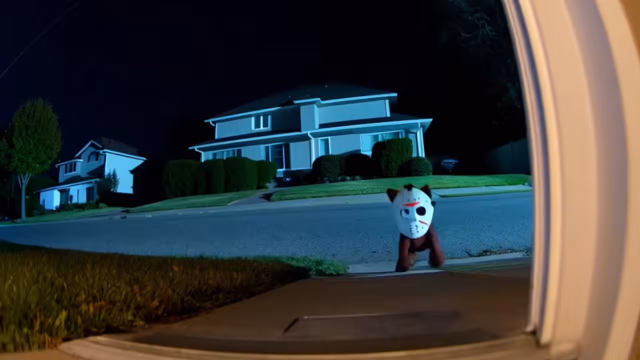 Catson, Friday 13