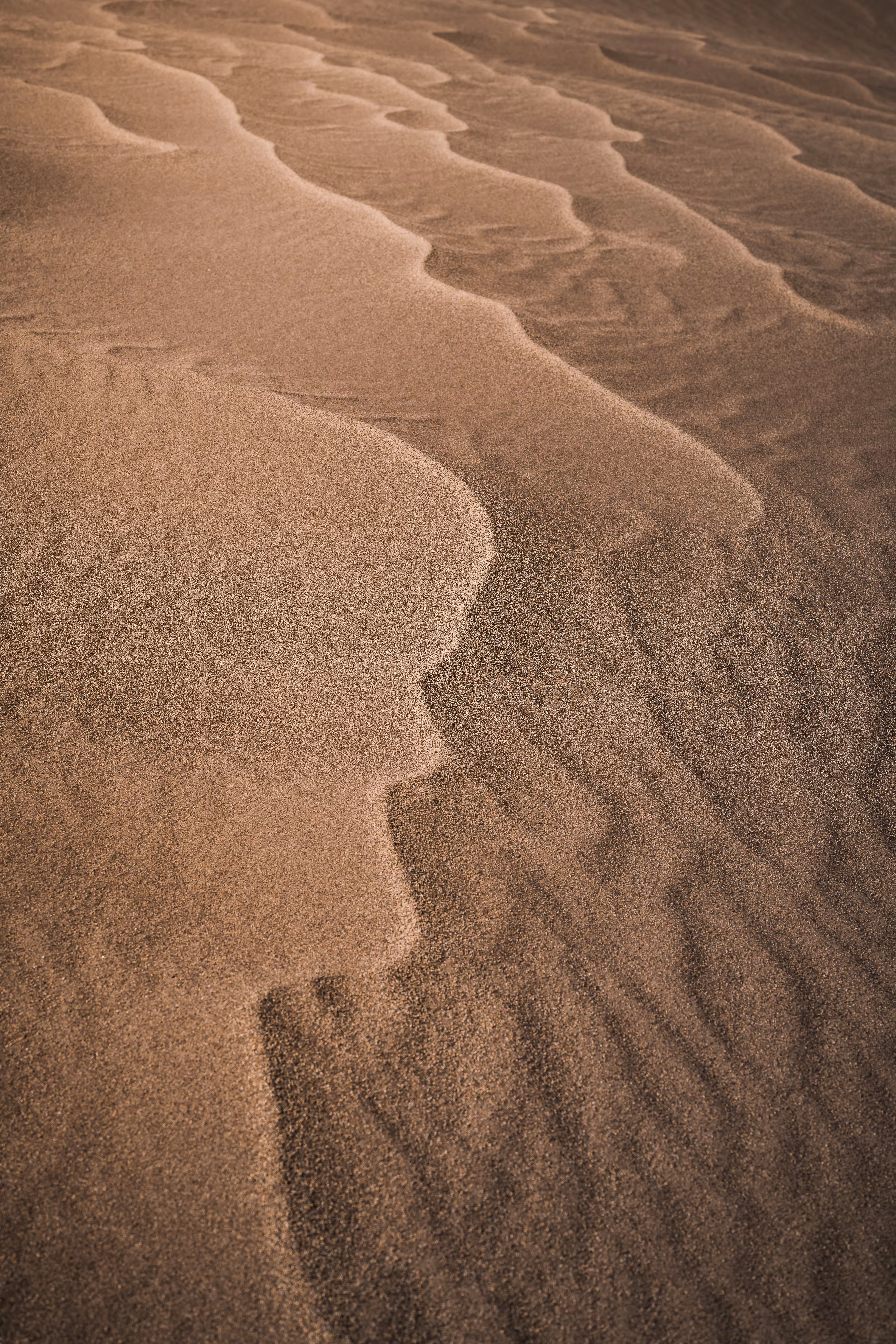 DUNE - 21, veins