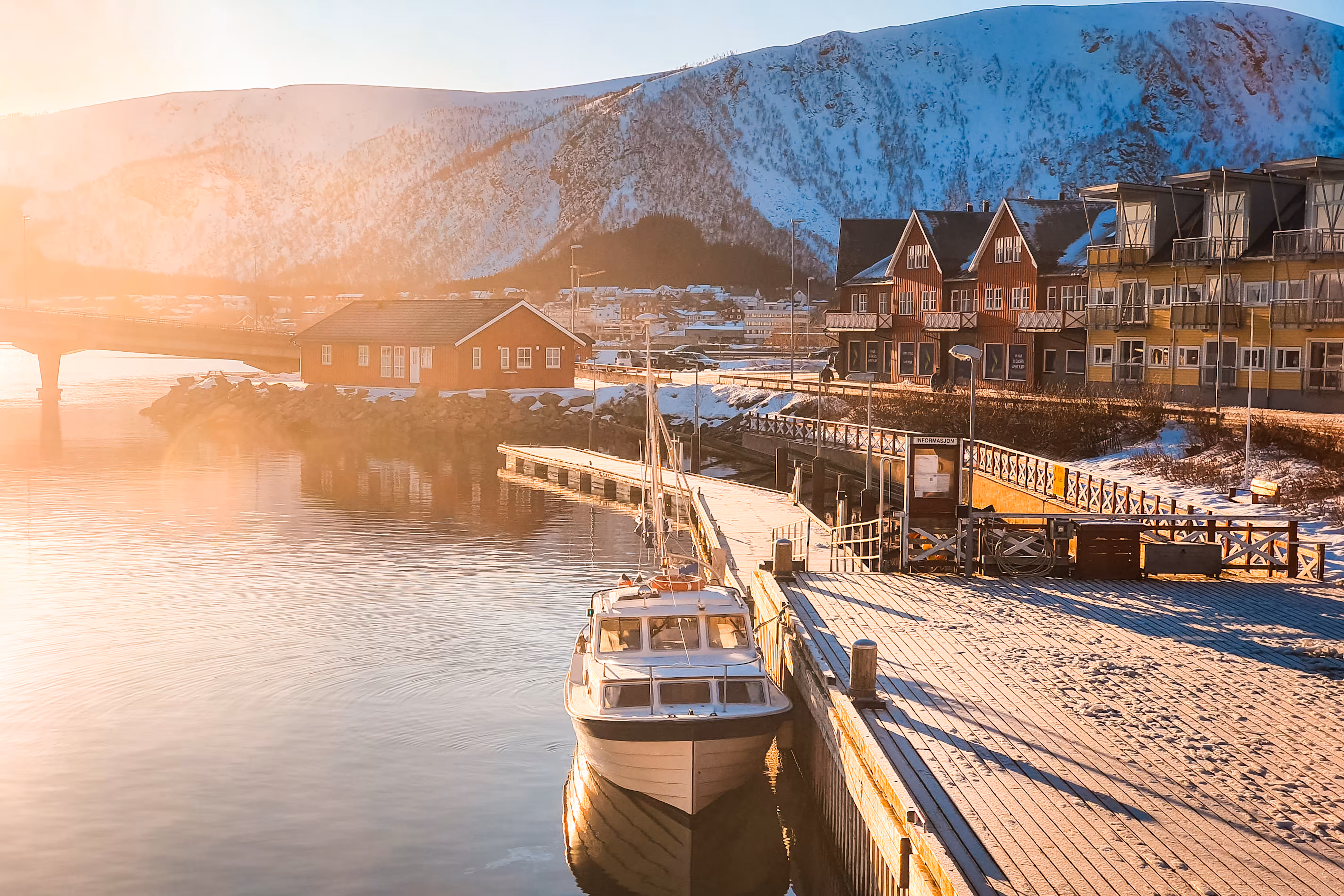 Winter morning