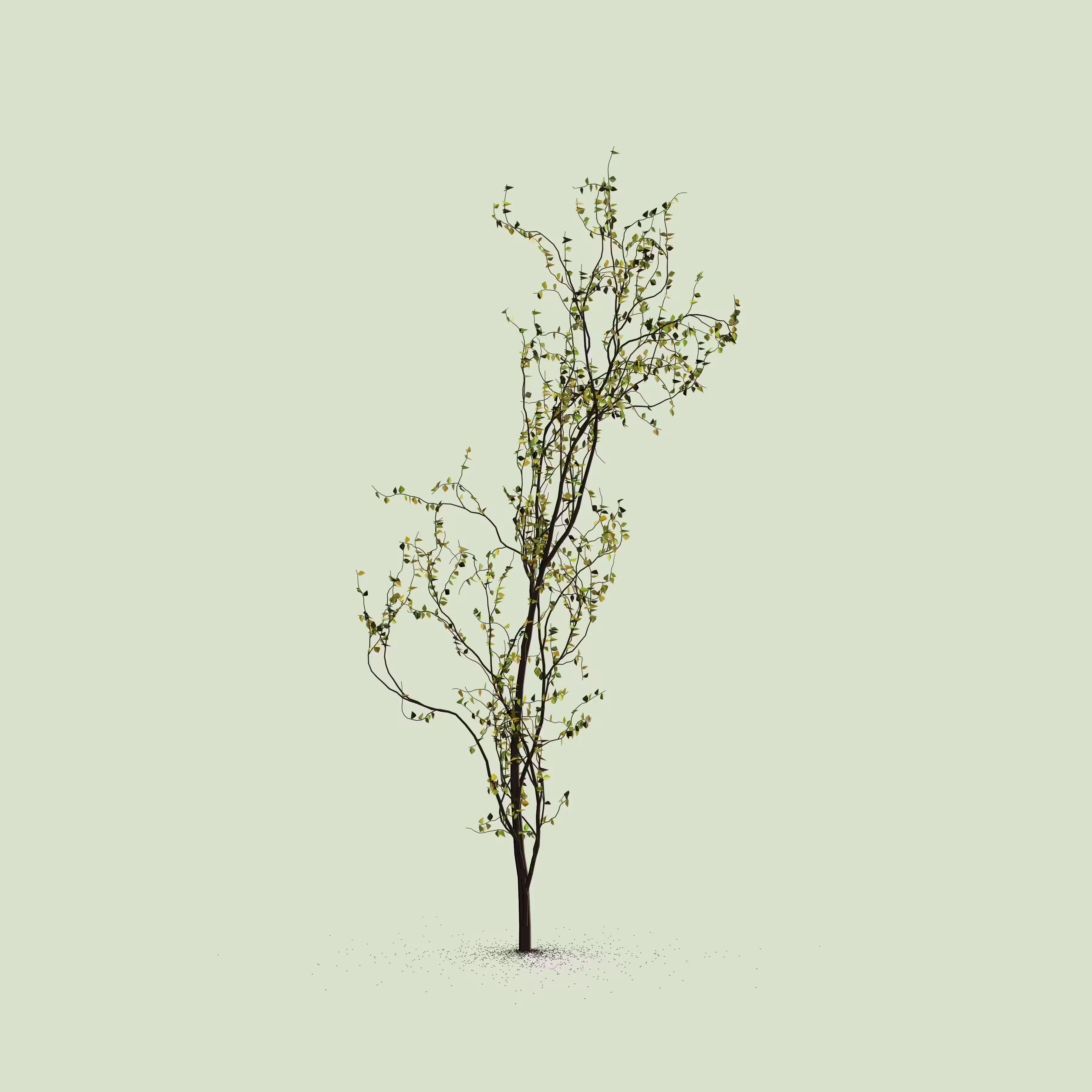 Little Trees #134