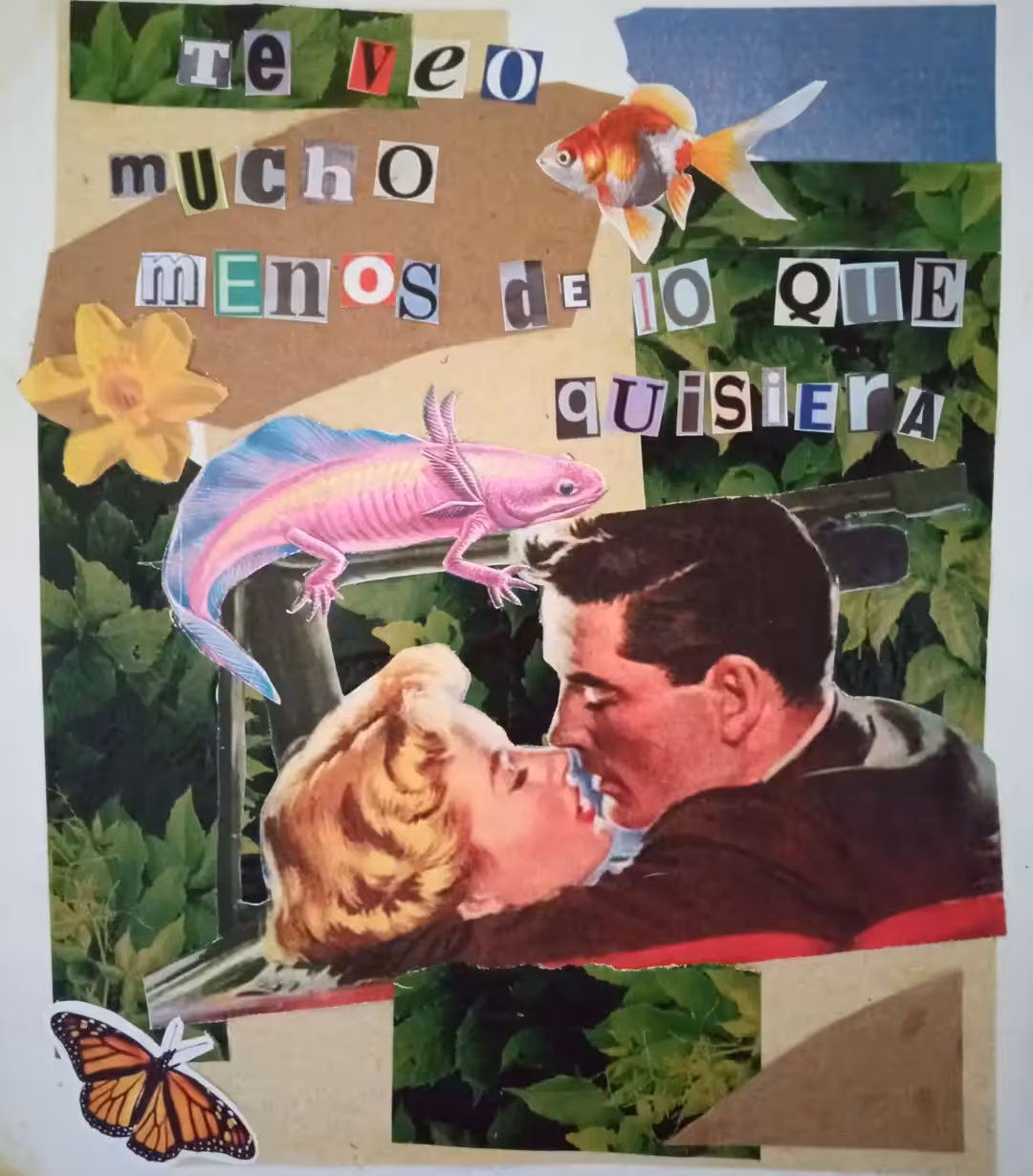 Amor a distancia 2/2