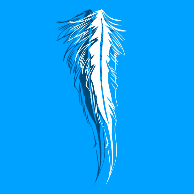 FEATHERS  #1