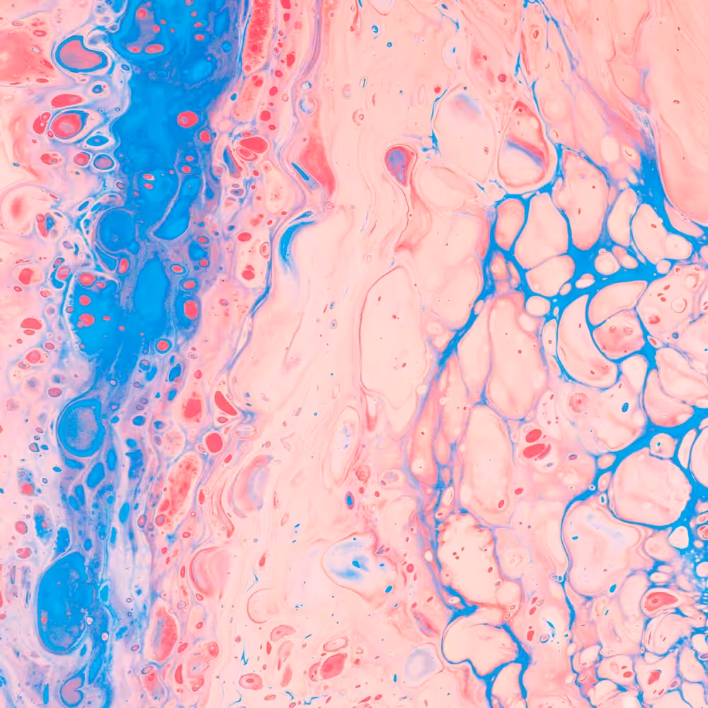 Colors For The Planet LE
