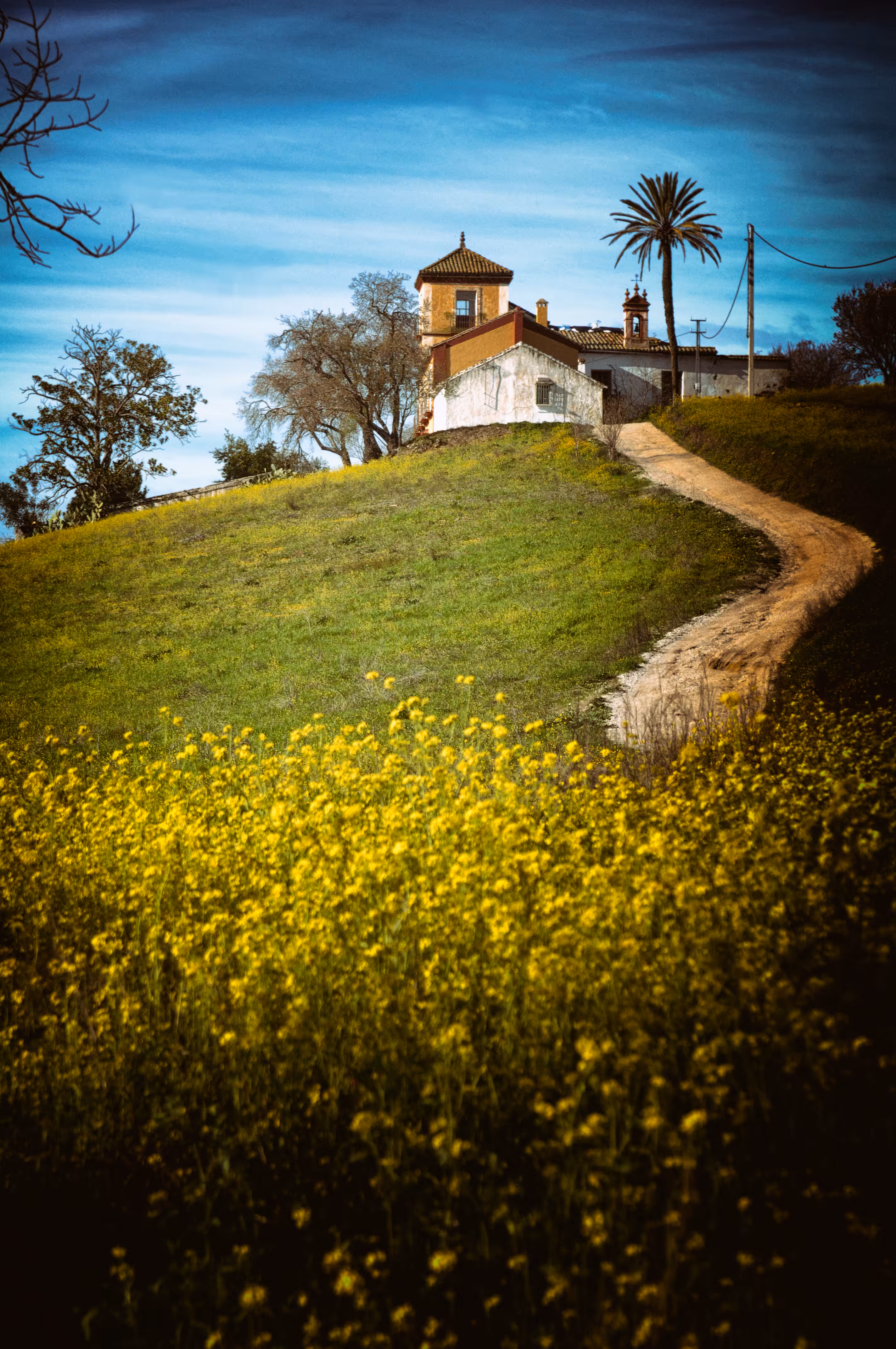 compendium: Path of Light and Flowers