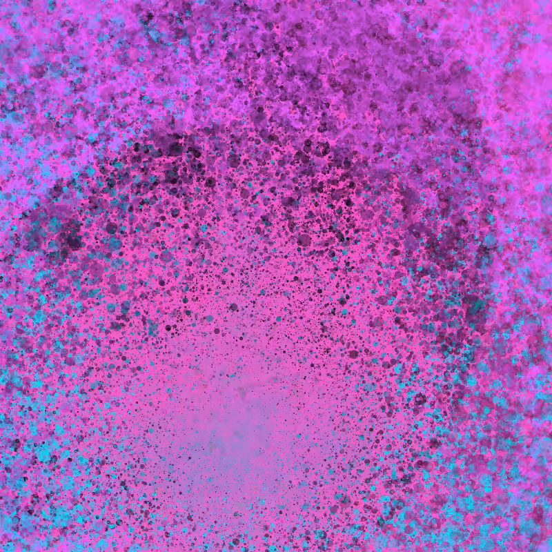 Enfold #36
