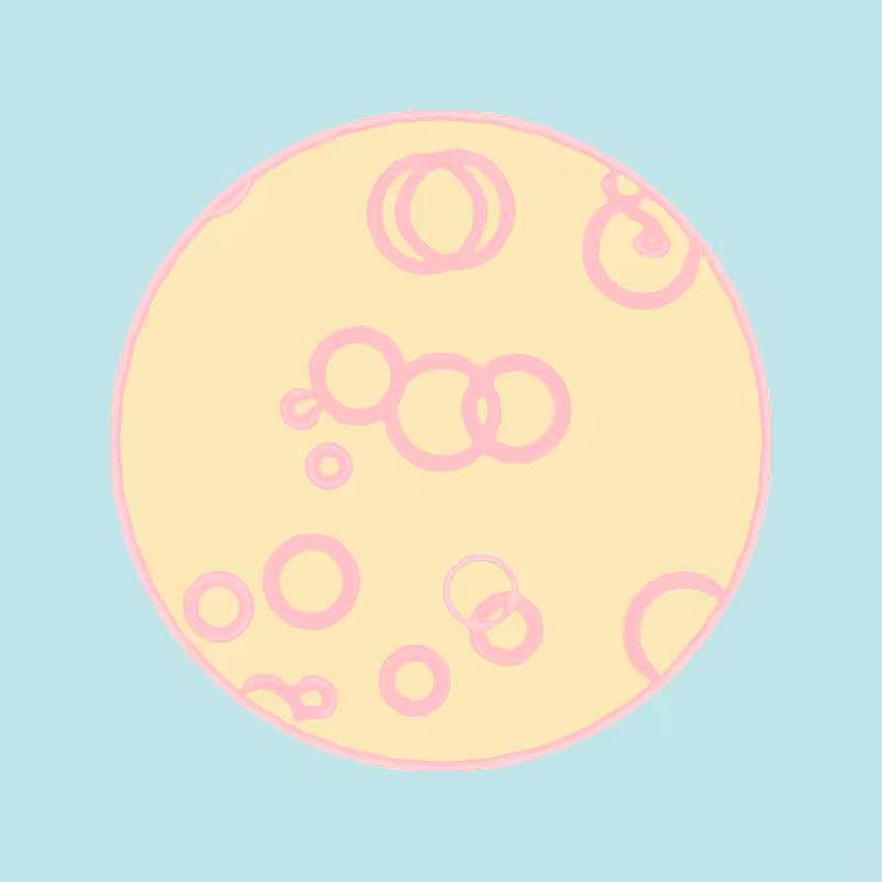 Cheap Petri Dish #43