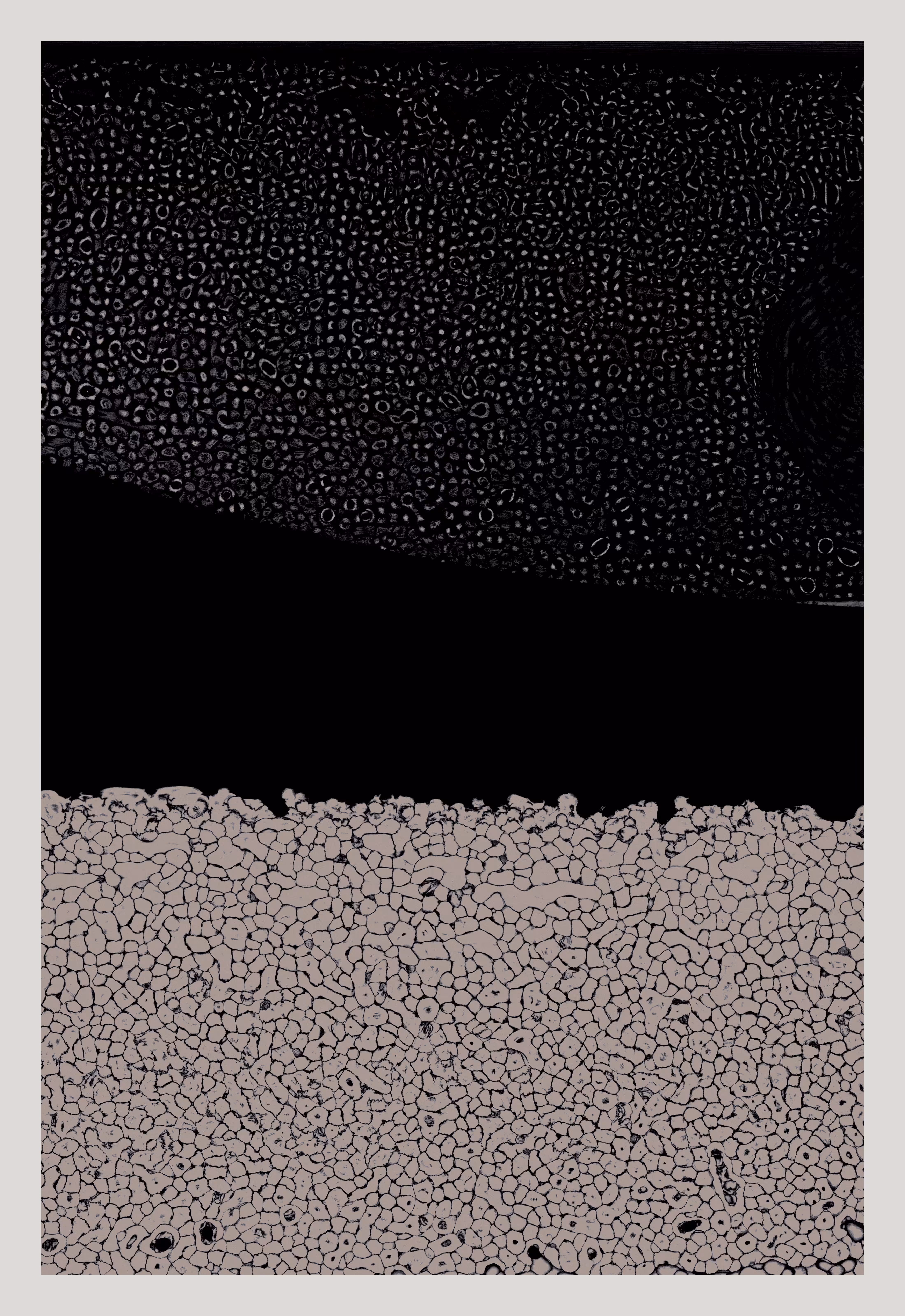 Texture Part II #9