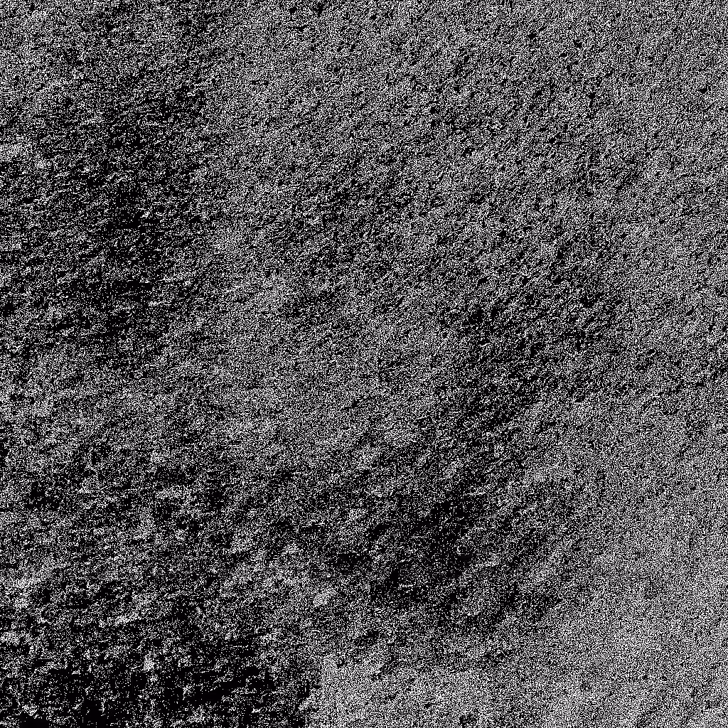 Noise #927 