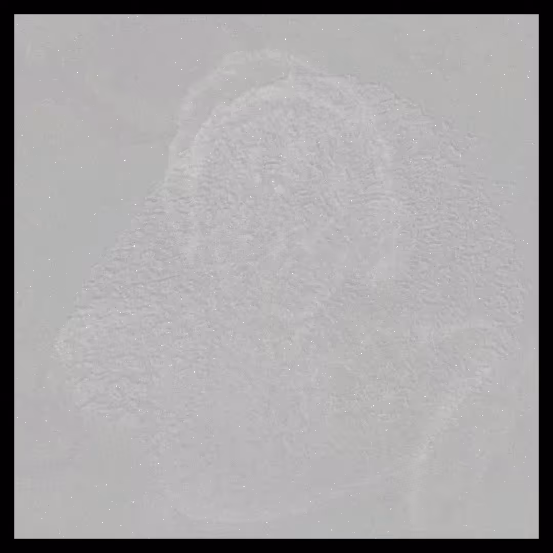The Ancestors #033