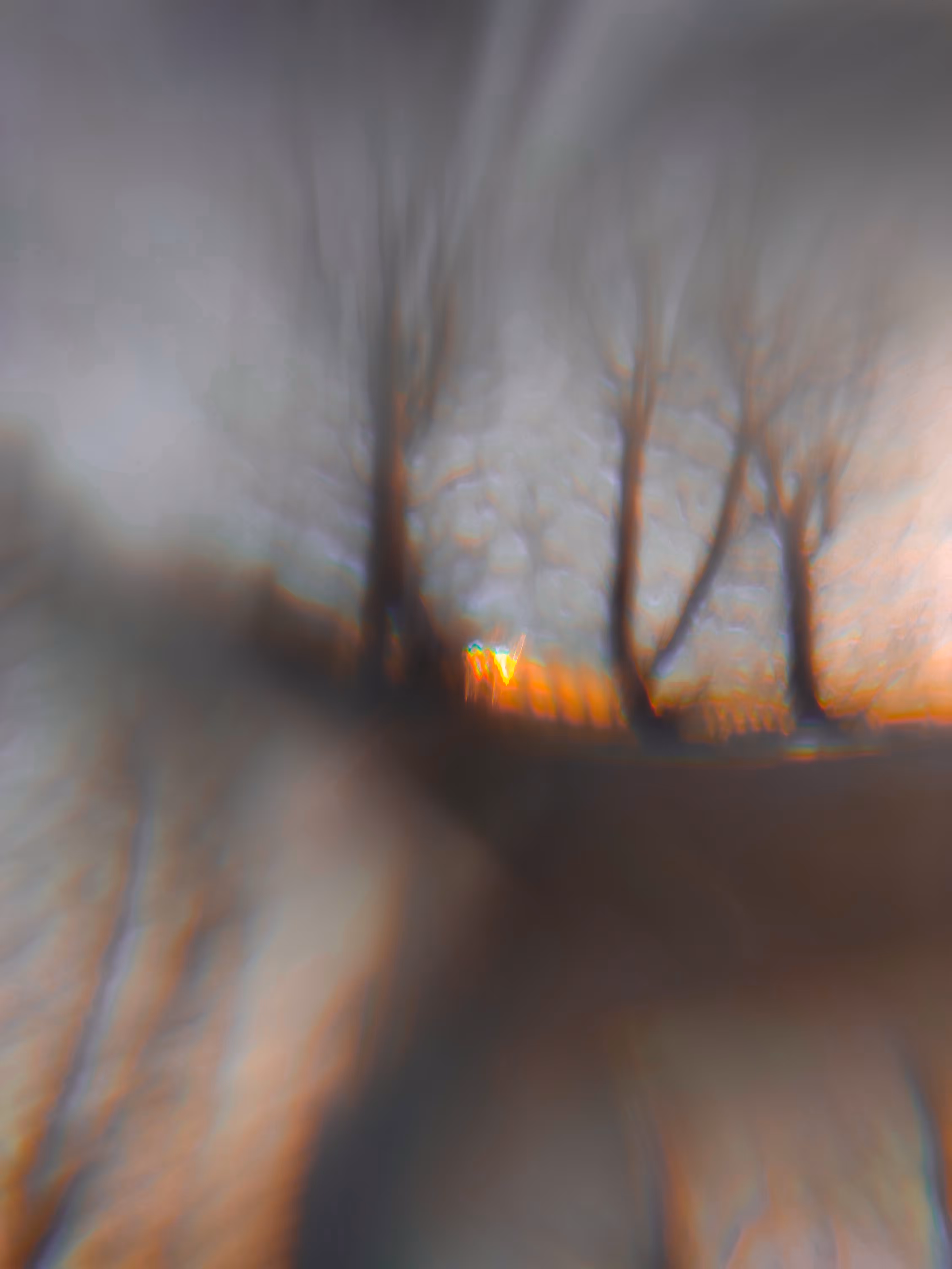 Prism