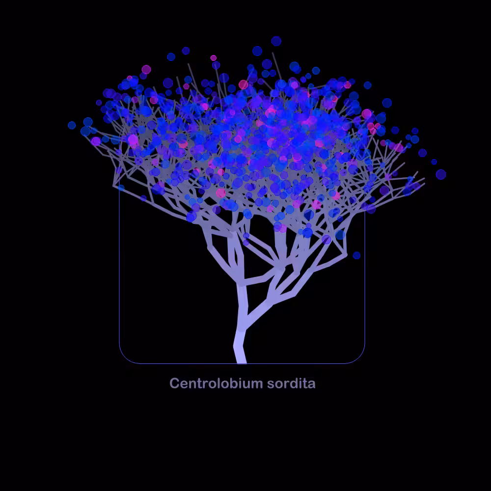 Fluidynamix - Trees #10