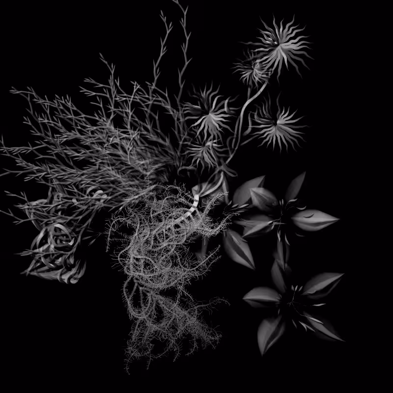 Botanical Ghosts #101
