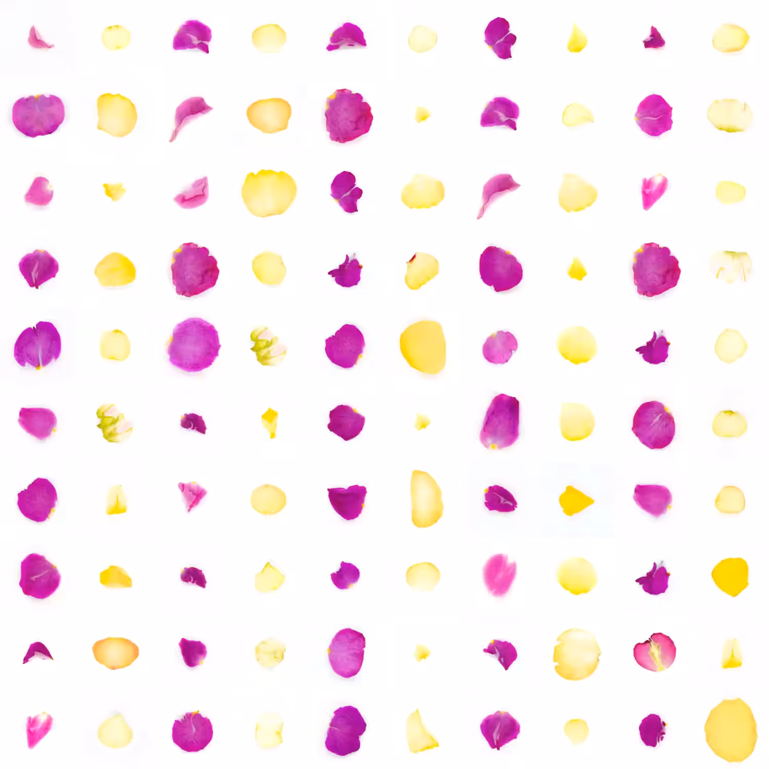 Infinite Petals 10x10#934