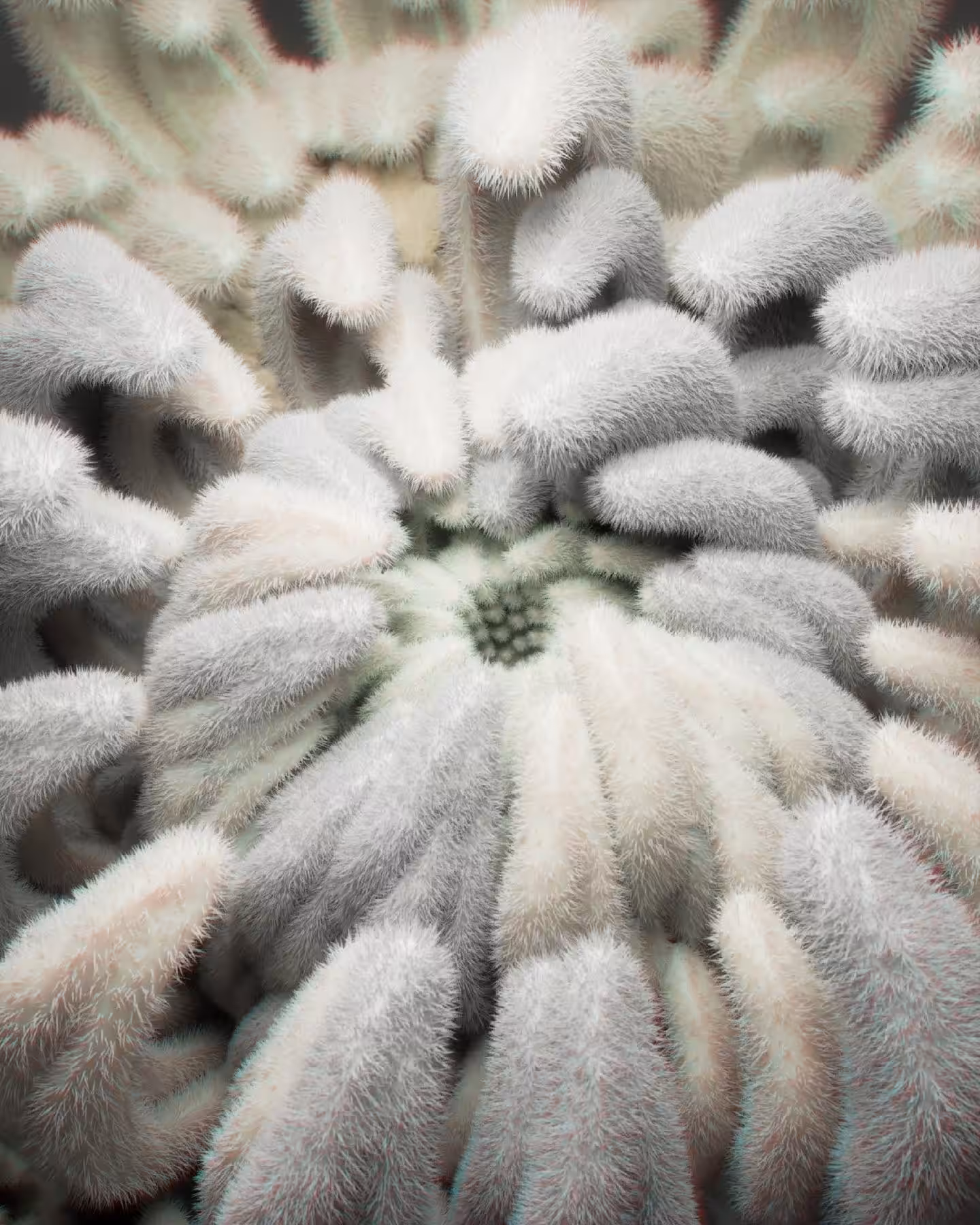 Procedural flower