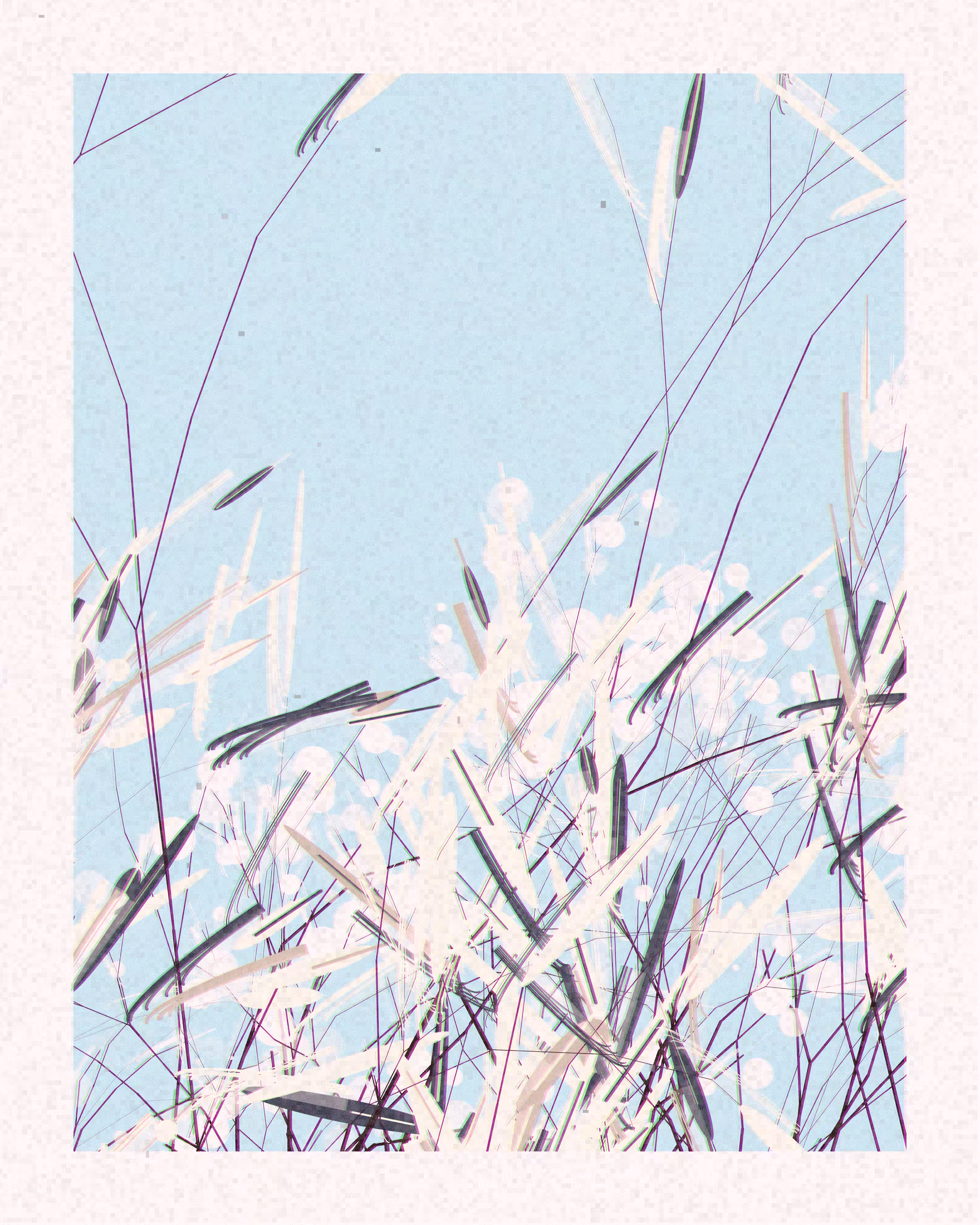 Rodeo posts: Spring