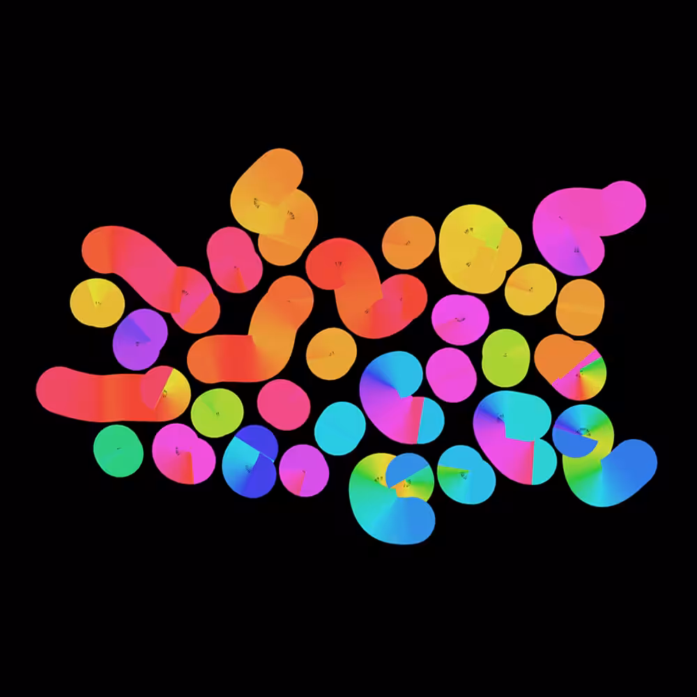 Rainbow Worm Party