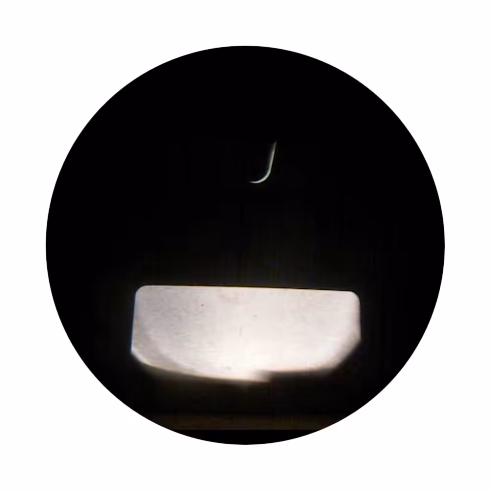 Diascope-filmoscope-001